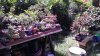 P_20150625_121449.jpg