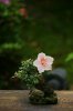 502ff64b41dc807679ba4746bfb56644.jpg