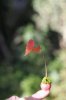 bce39af78dbc7a01bdede44fd58edaa5.jpg