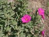 D-IMG_8014.jpg
