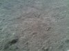 IMG00050-20100412-1&.jpg