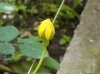 DSCN0834..jpg
