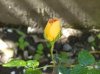 DSCN0845..jpg
