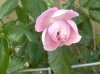 DSCN0849..jpg