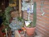 DSCN2091.jpg