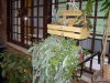 DSCN2092.jpg