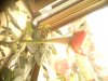 IMG0324A.jpg