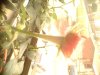 IMG0326A.jpg