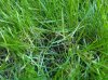 IMG00039-20110520-1935.jpg