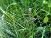 IMG00040-20110520-1935.jpg