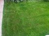 IMG00061-20110524-1522.jpg