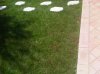IMG00067-20110527-1200.jpg