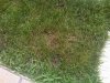 IMG00065-20110527-1200.jpg