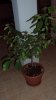 DSC01086.jpg