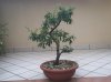 20151006_171002.jpg