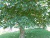 DSCN5320.jpg