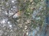 20151027_123329.jpg 20151027_123329.jpg