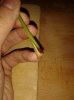 20151102_113403.jpg