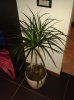 20151102_113512.jpg
