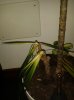 20151102_113524.jpg