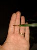 20151102_113537.jpg
