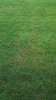20151031_091207.jpg 20151031_091207.jpg