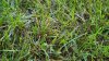 20151031_091322.jpg 20151031_091322.jpg