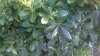 WP_20151106_14_36_55_Pro.jpg