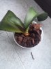 20151109_155248.jpg