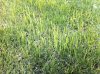 IMG_0188.jpg