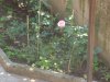 DSCN1439.jpg