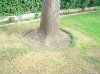 DSC06501.jpg