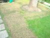DSC06498.jpg