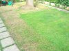 DSC06497.jpg
