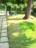 DSC06535.jpg