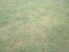 DSCN1289.jpg