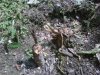 IMG00321.jpg