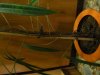 DSCN0157.jpg DSCN0157.jpg