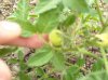 DSCN0582.jpg