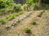 DSCN0554.jpg