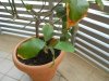 DSCN0523.jpg