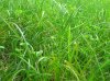 DSCN4285.jpg