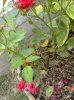 24062011130.jpg
