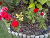 24062011128.jpg