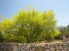 sicilia 2011 023.jpg