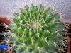 DSCN5657.jpg