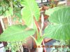 DSCN0024.jpg
