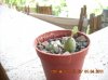 DSCN0014.jpg