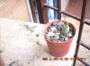 DSCN0018.jpg
