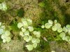 2011_07070032.jpg
